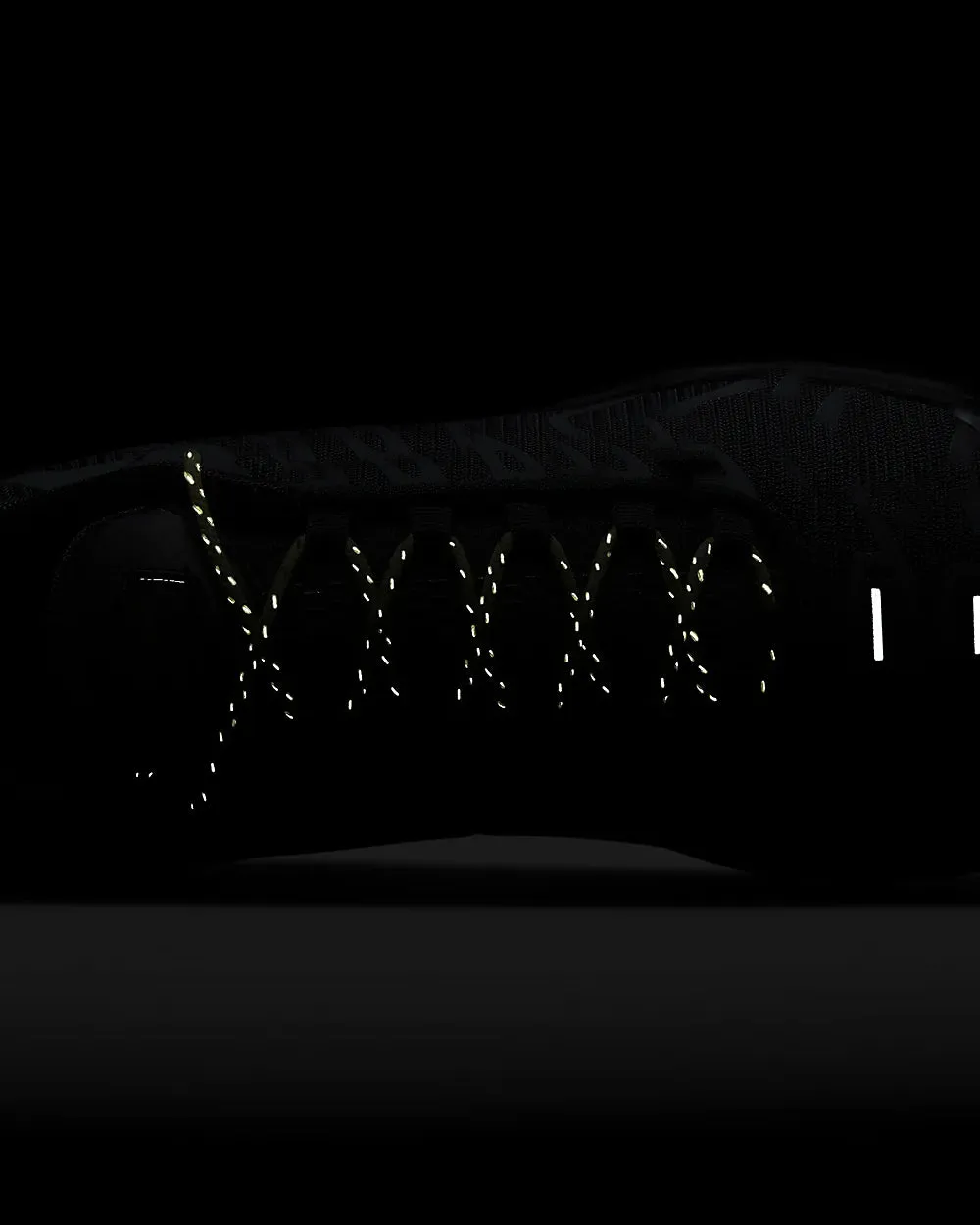 Air Max Plus Black/Metallic Silver/Opti Yellow/Black Low Top Sneakers