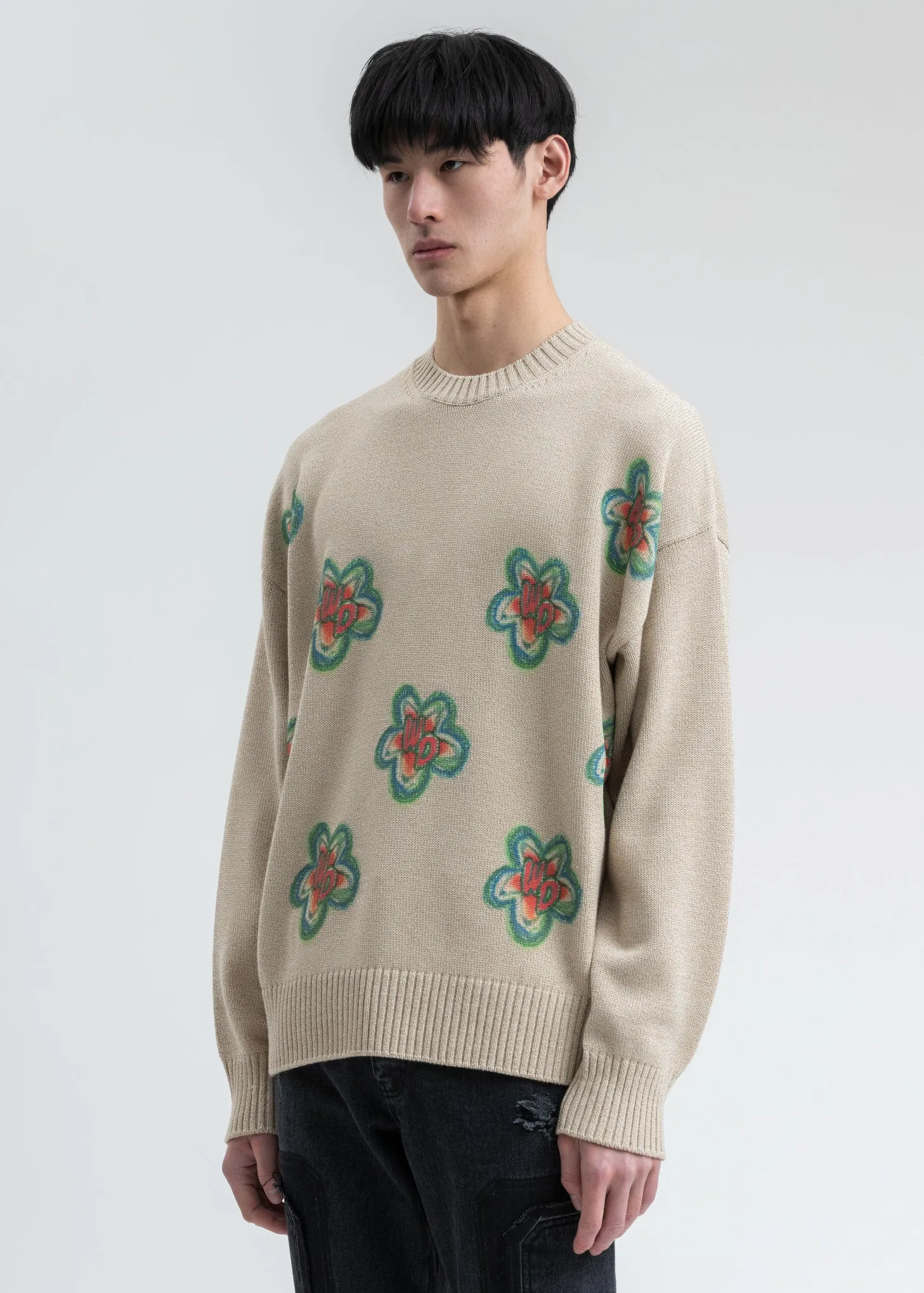 Beige WD Printed Knit Sweater