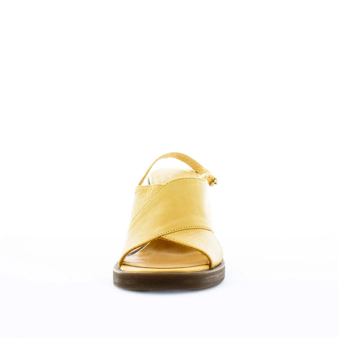 HEXANDRA - Mustard